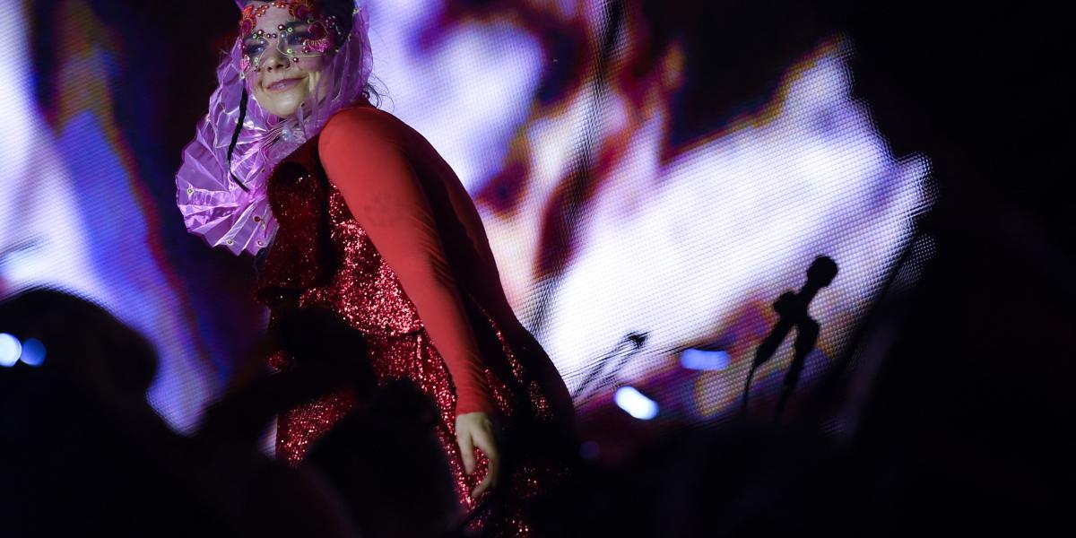 Az énekesnő kategóriákba besorolhatatlan, valódi kísérletező típus. Énekel, zenét szerez, hangszert és installációt készít amellett, hogy kiáll a számára fontos ügyekért