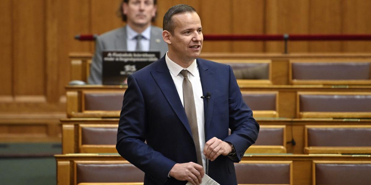 Toroczkai László, a Mi Hazánk elnöke - Korábbi felvétel 