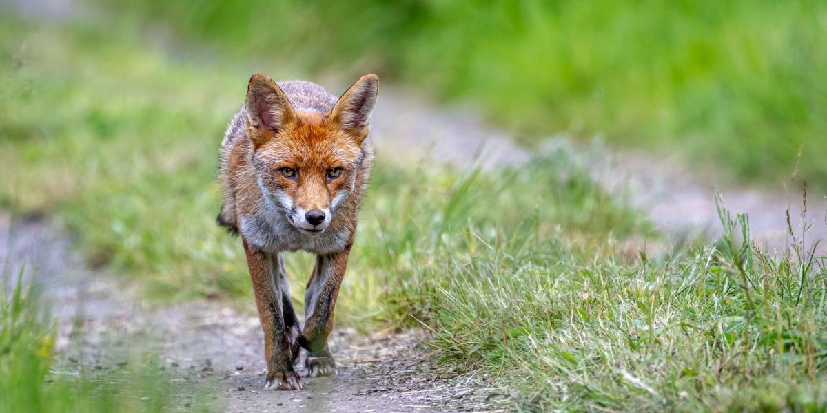 Képünk illusztráció 