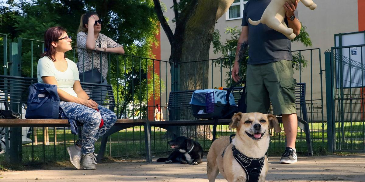 Az Állatmentő Liga műállatokon mutatja meg a gazdiknak, hogyan menthetik meg kis kedvencük életét