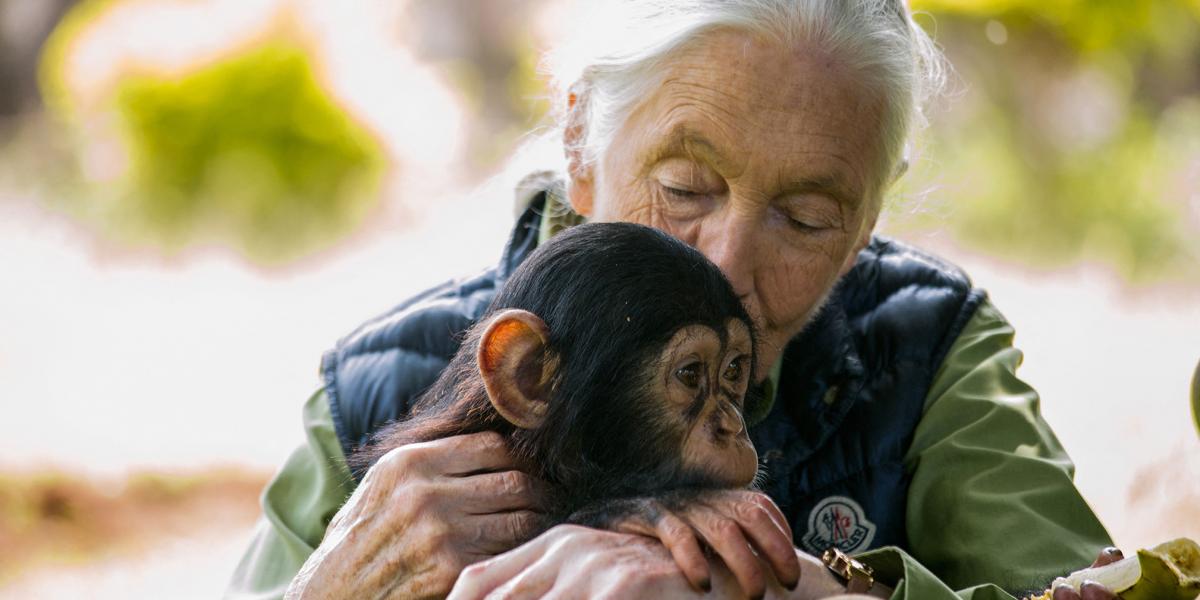 A genetikai állományunk 98 százalékban megegyezik