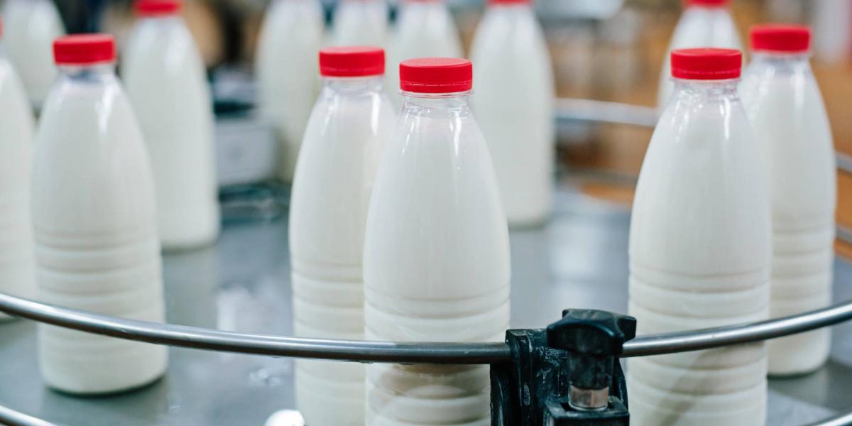 Képünk illusztráció