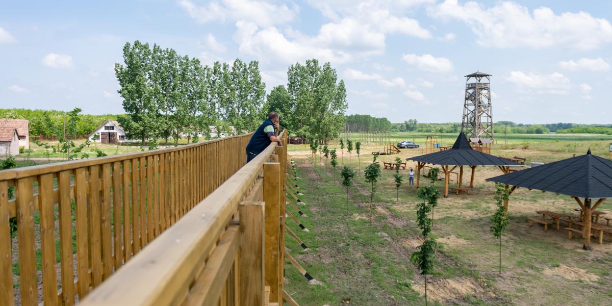 Nyírmártonfalvi lombkorona sétány