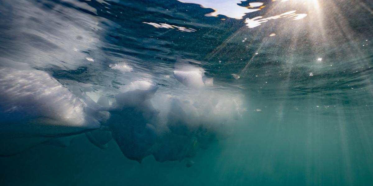Olvad a jég a sarkkörnél is, ez pedig újabb hajózási útvonalakat jelenthet