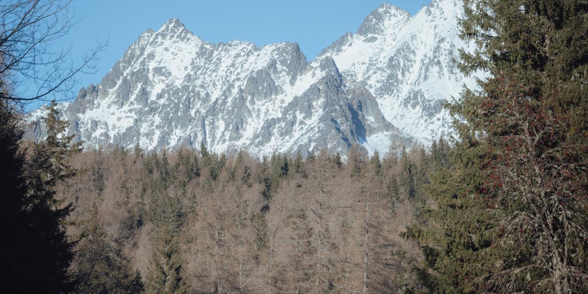Képünk illusztráció, a Magas-Tátra a Csorba-tónál