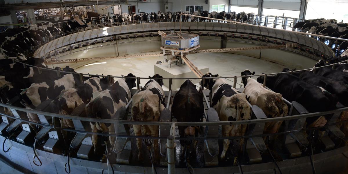 Az állattenyésztési ágazatok szereplőit leginkább a felvásárlási árak zuhanása aggasztja