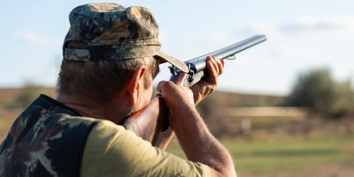 A madarakba lőtt sörét, amely nem okoz halált, hosszú távon mérgez 