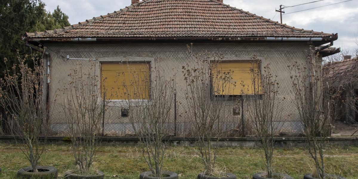 A lakosságot is ösztönöznék, hogy fejlesszenek, mert most szinte szó szerint égetik a pénzt