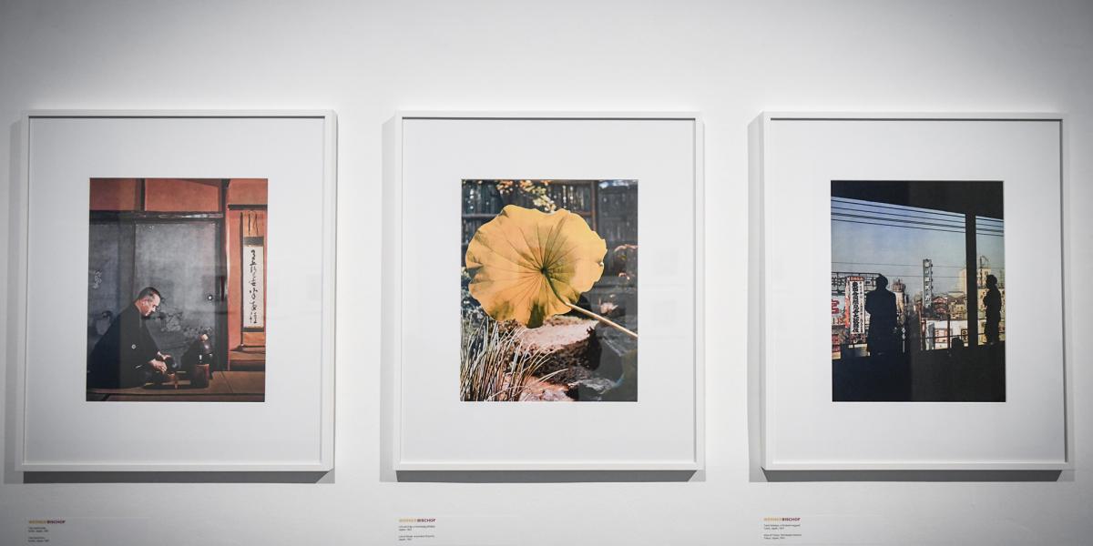 Werner Bischof svájci alkotó képsorozatán a színes Japán elevenedik meg