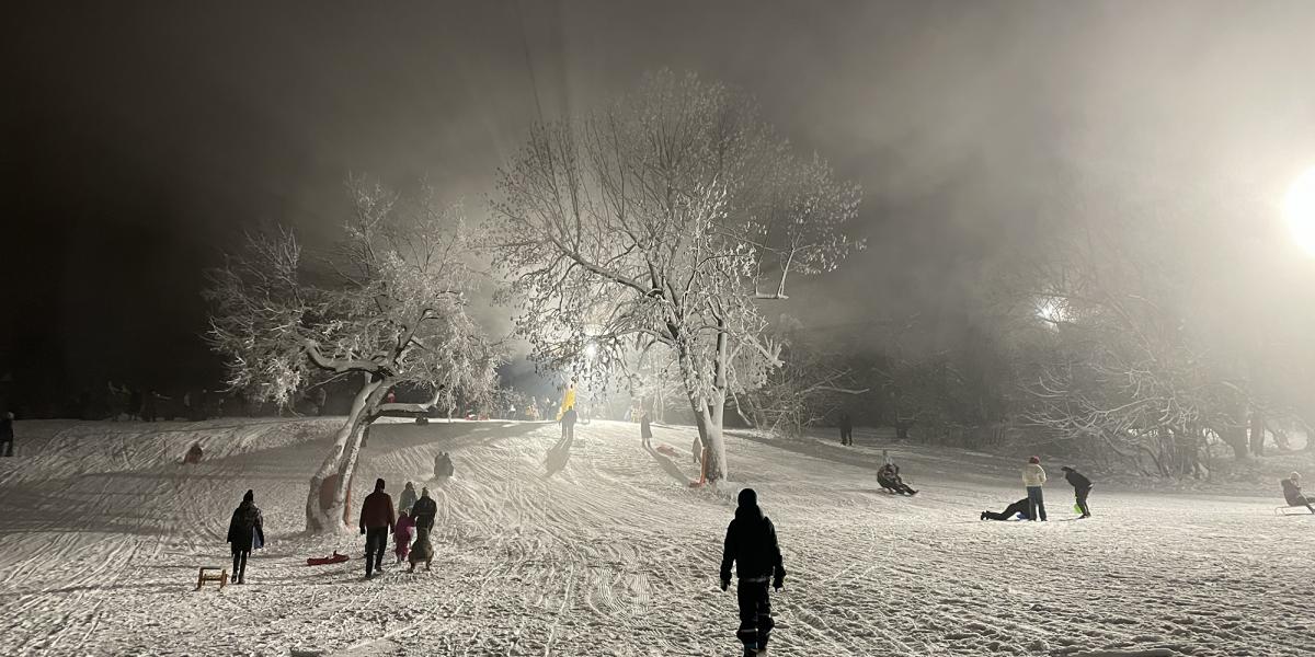 Még januárban a Normafa Park engedélyt kapott egy sífelvonó üzemeltetésére is