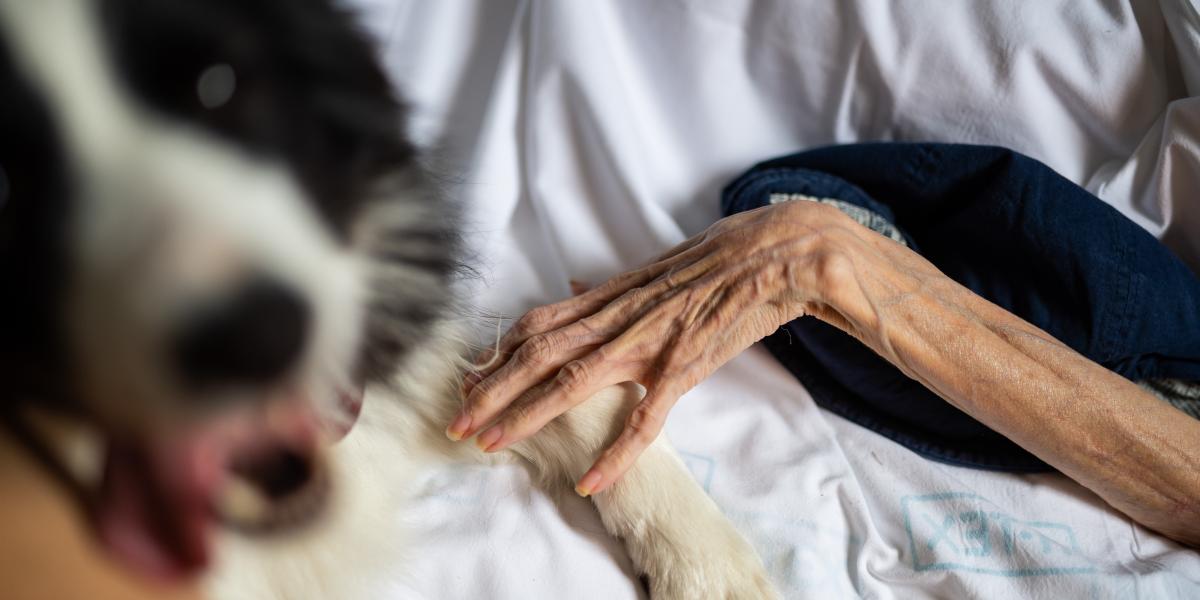 A szakirodalmi becslések alapján naponta átlagosan 140 ember hal meg olyan állapotban, amely esetében a magyar szabályozás otthoni hospice-ellátás (profi szakmai csapat segítsége mellett) a családjukkal tölthetnék az utolsó pillanatokat is