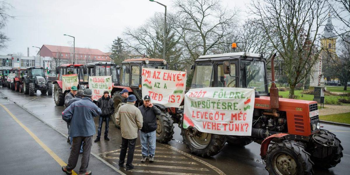 MTI Fotó: Czeglédi Zsolt