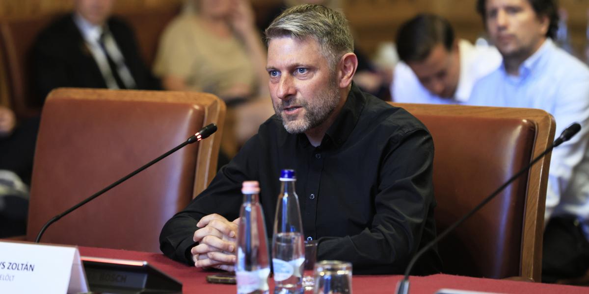 Moys Zoltán szerdán a bizottsági meghallgatáson