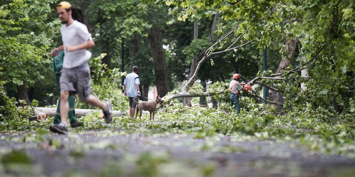  A Főkert Nonprofit Zrt. szakembere a szerdai viharban letört faágakat takarít el a budapesti Városligetben 2015. július 9-én.MT