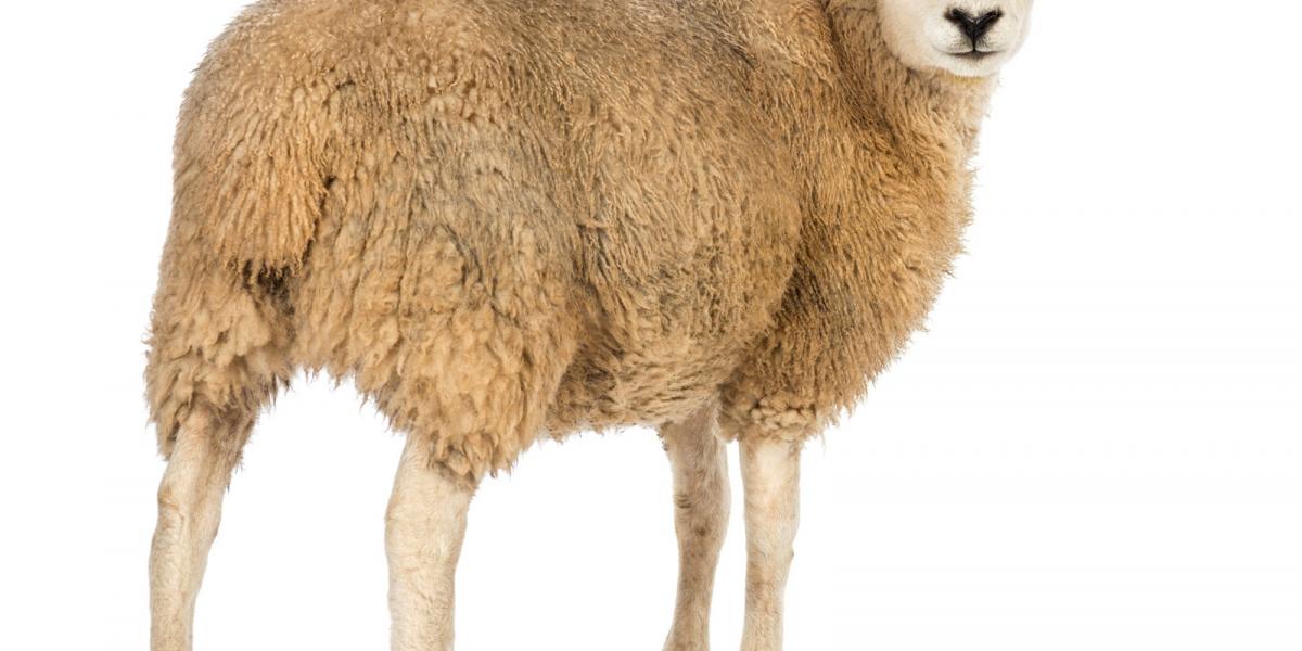 Vajon ezen a fertályon kell keresgélni? Illusztráció/Thinkstock