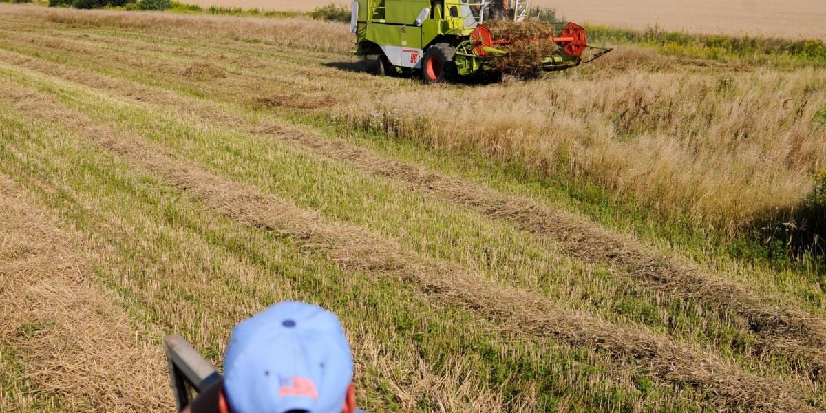 Most a mezőgazdaság teljesítménye húzta vissza a GDP-t FOTÓ: TÓTH GERGŐ