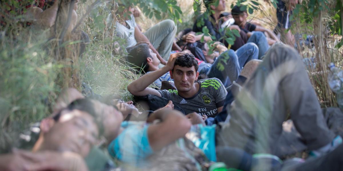 Menekültek buszra várnak Szegednél FOTÓ: EUROPRESS/GETTY IMAGES/MATT CARDY