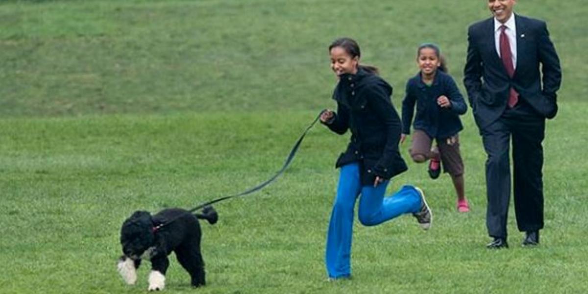 Az elnökkel és lányaival boldogan futkározó Bo - Fotók: Barack Obama közszereplő/Facebook