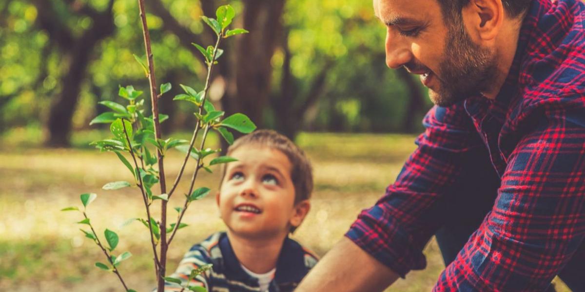 A faültetést nem lehet elég korán kezdeni FOTÓ: EP/THINKSTOCK