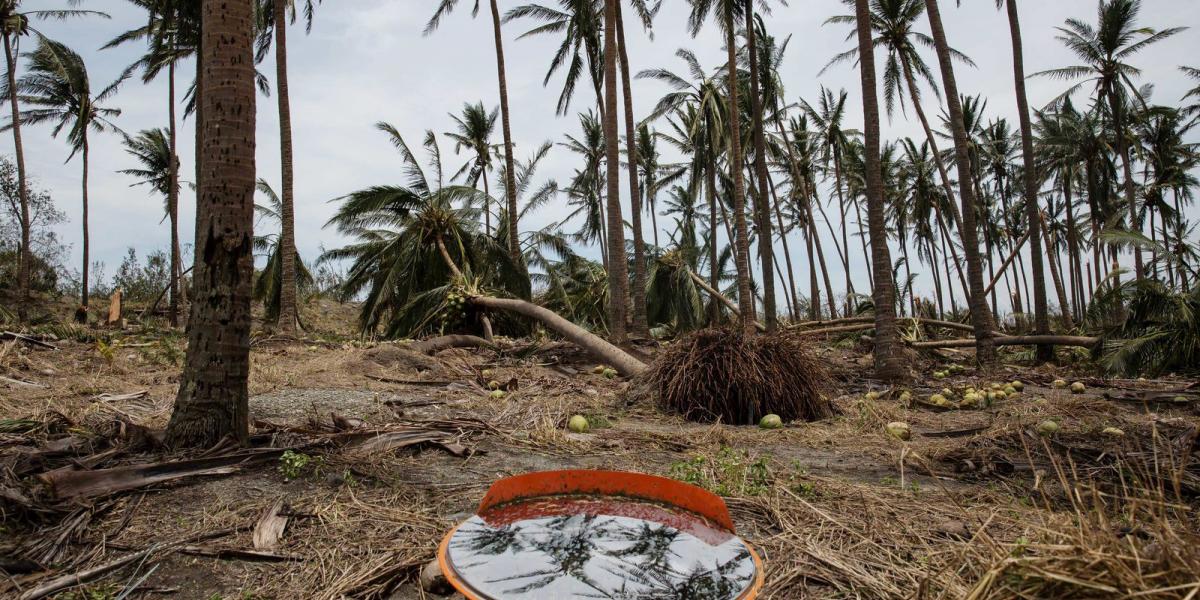 Fotók: Billy H.C. Kwok/Getty Images