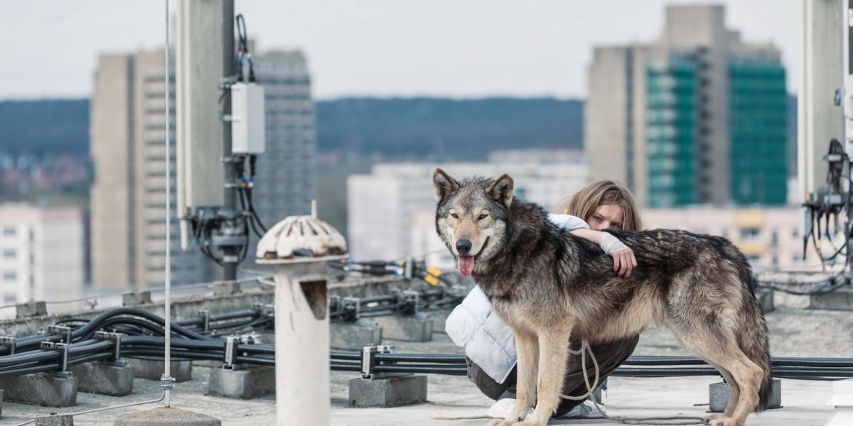 A Vad című film hőse
FORRÁS: SZEMREVALÓ