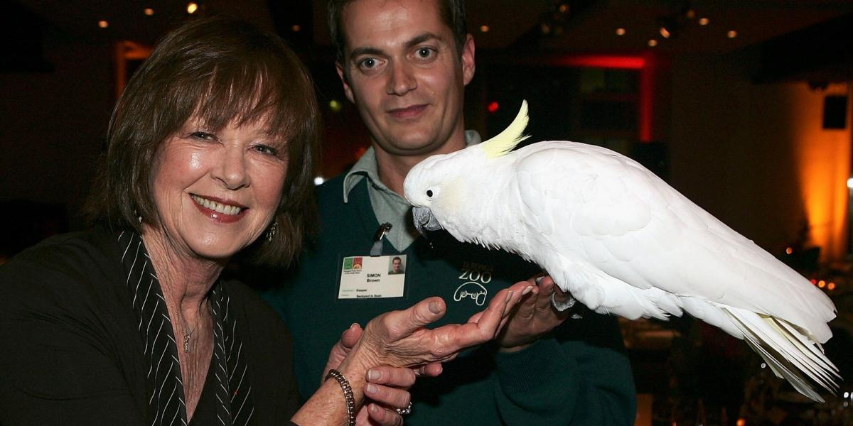 A Taronga Zoo Alapítvány adománygyűjtő vacsorájának sztárja Eliot, a fehér kakadu volt. FOTÓ: Getty Images, Patrick Riviere