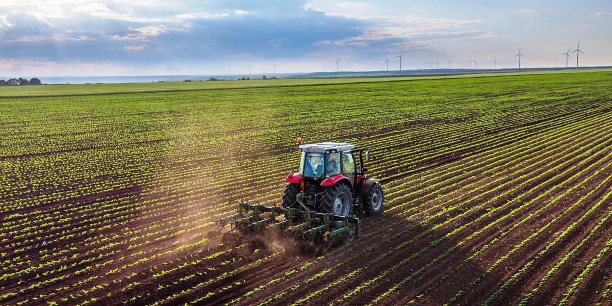 A kormány eredménynek tekinti azt is, hogy az alanyi jogon járó agrártámogatásokat kifizeti FOTÓ: RUROPRESS/GETTY IMAGES/THINKST