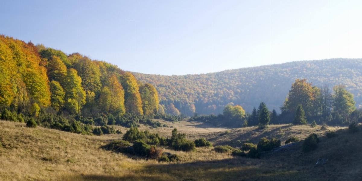 A Bükki Nemzeti Park területén is gyanús földhasználati ügyek történtek FOTÓ: EUROPRESS/THINKSTOCK