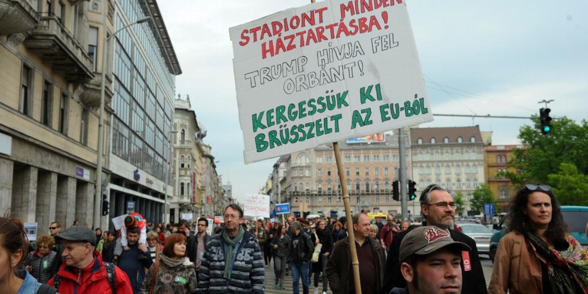 A kétfarkú kutyapárt szombati békemenete  FOTÓ: Vajda József 