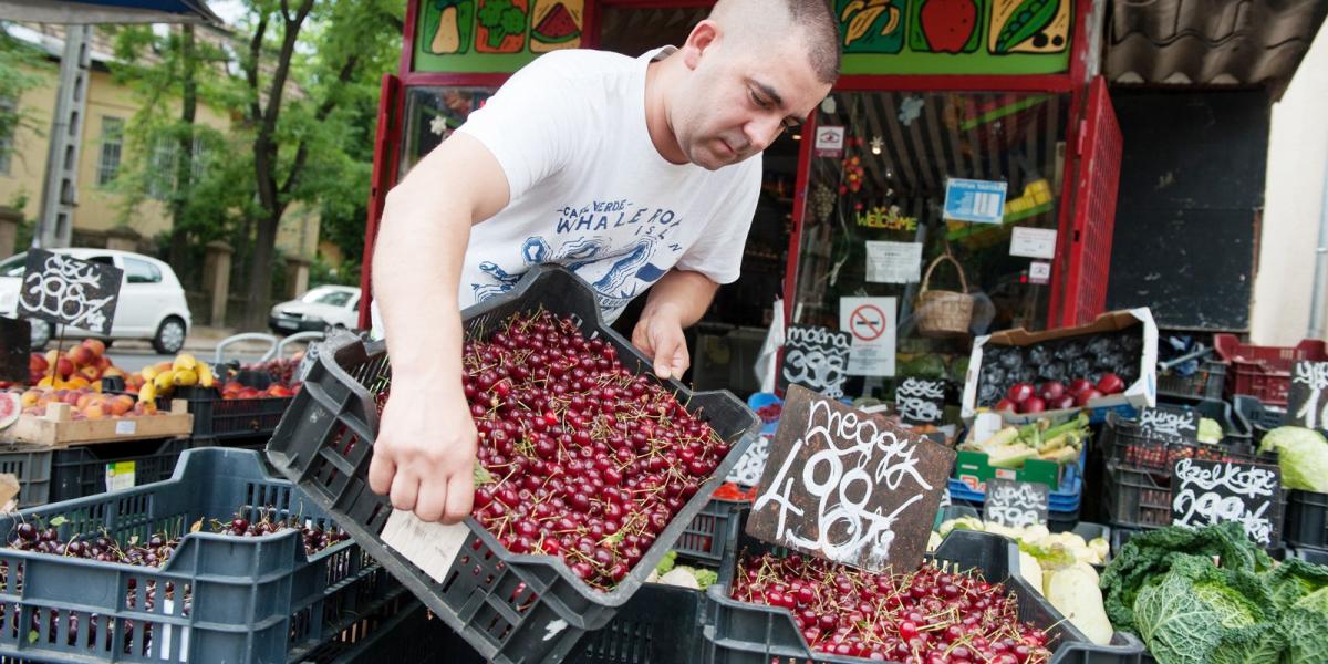 Bizalom - A termelők és a felvásárlók pénze is a gyümölcsfeldolgozó fizetési hajlandóságán múlik - Fotó: Népszava/Tóth Gergő 