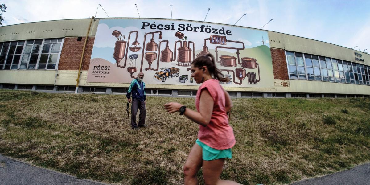 Egyes feltételezések szerint a pécsi termelés a most megállapított határ felé tart. FOTÓ: TÓTH LÁSZLÓ