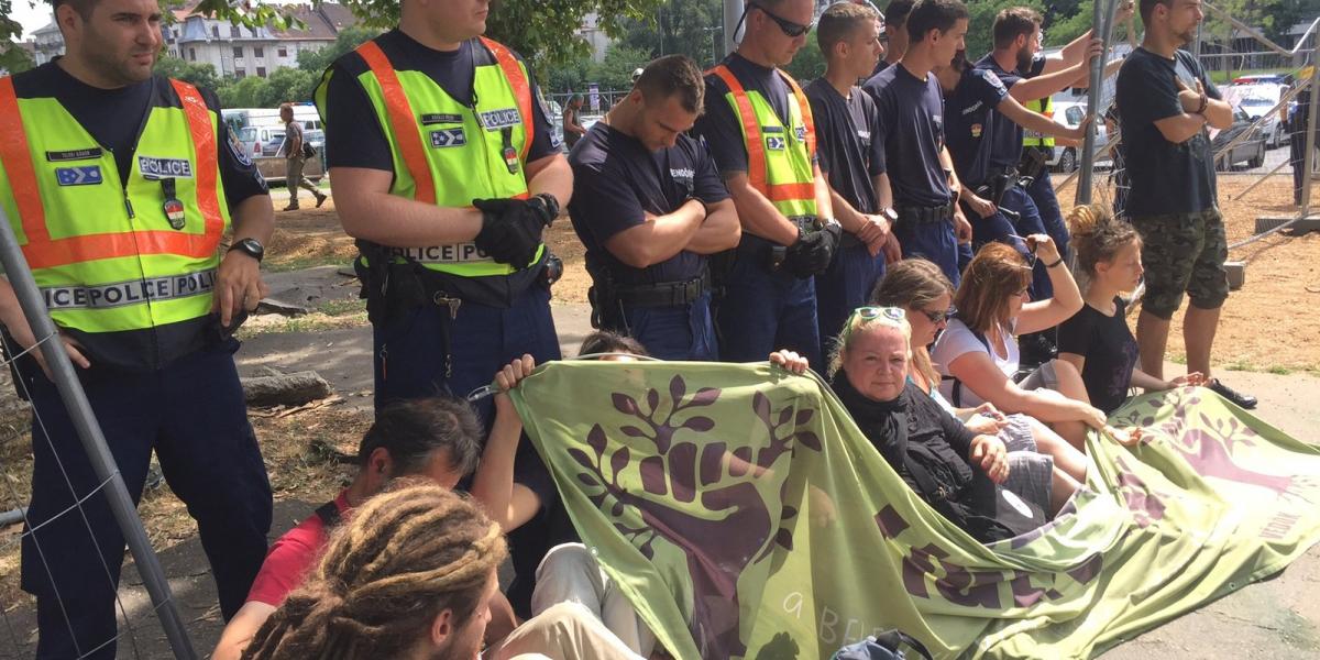 A Ligetvédők ülőláncot alkottak a fák
védelmében A SZERZŐ FELVÉTELEI