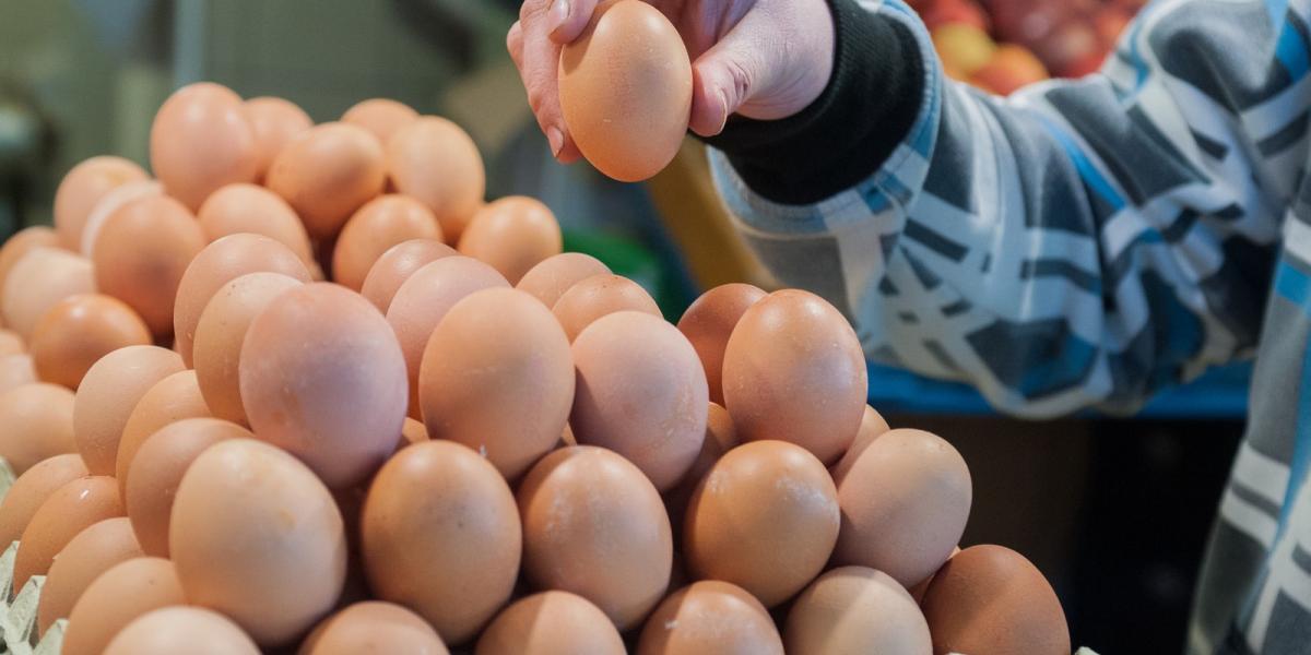 A hazai fogyasztóknak érdemes a HU jelzésű tojást vásárolni. FOTÓ: MOLNÁR ÁDÁM