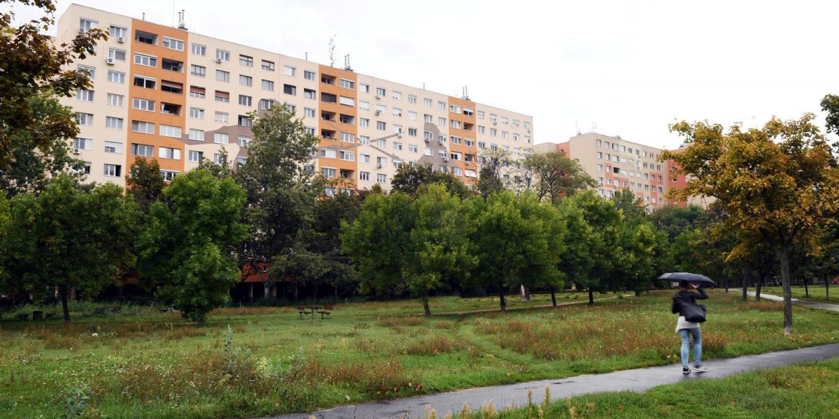 BÉKÉS PARK - A tervek szerint a 14 méter magas fekete obeliszket egy
játszótér közelében helyezhetik el - Fotó: Szalmás Péter