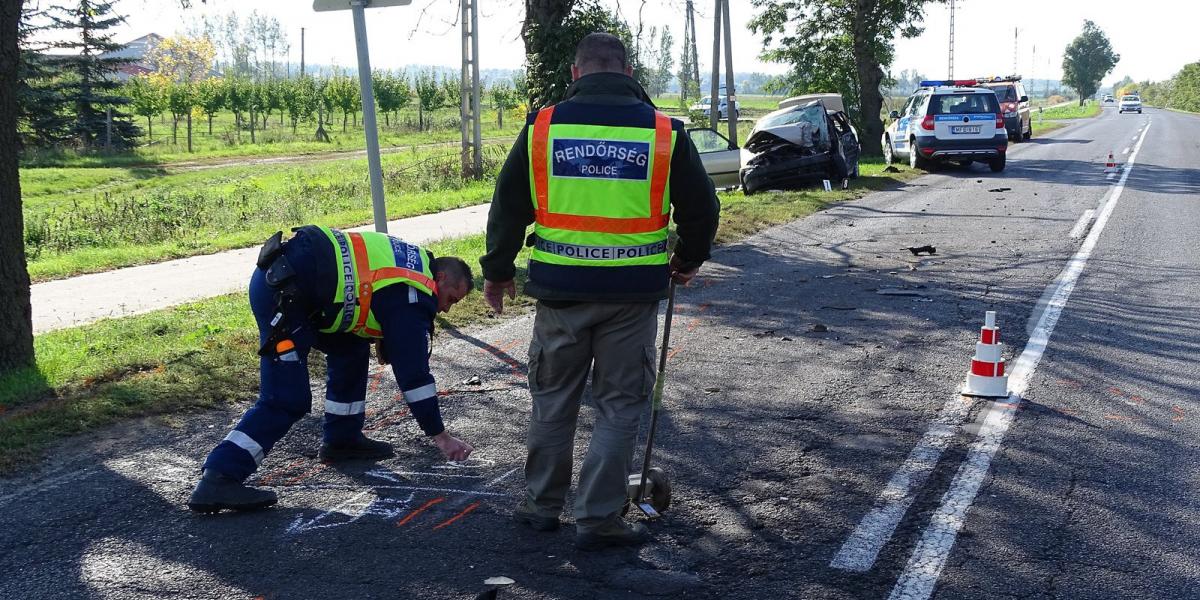 MTI Fotó: Donka Ferenc