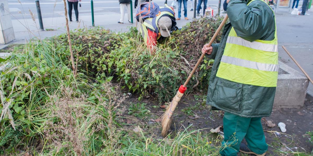 A közmunkások napi 8 óra munkával a minimálbér alig több, mint felét keresik. Fotó: Molnár Ádám