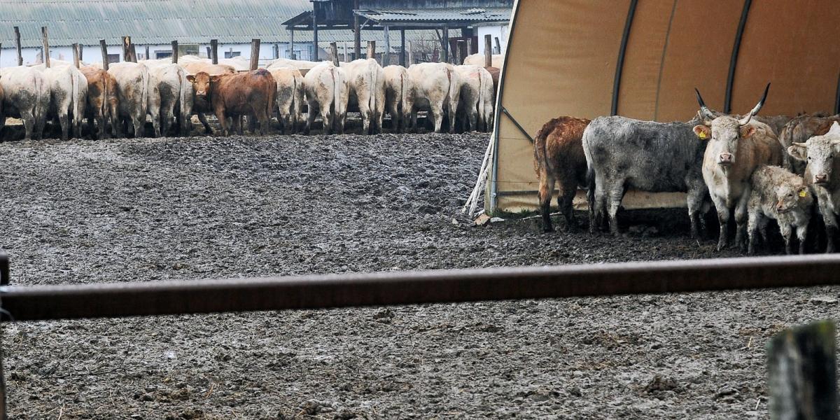 Két év alatt 497 millió forint támogatást ítélt meg az uniós források elosztását irányító Miniszterelnökség az államtitkár feles