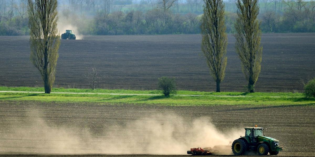 MŰVELÉS A bírósági döntéssel újraindul a kormány „földvédelmi” harca - FOTÓ: H. SZABÓ SÁNDOR
