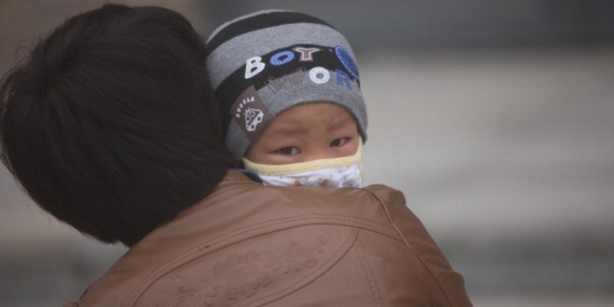 Fotó: ChinaFotoPress/Getty Images