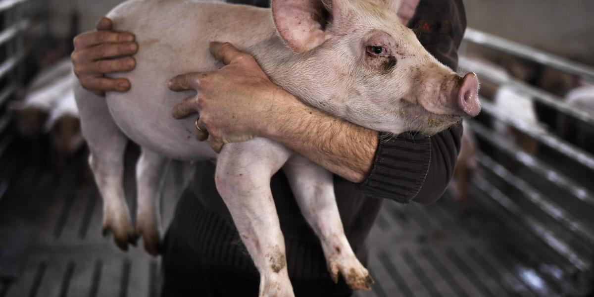 Illusztráció/AFP fotó