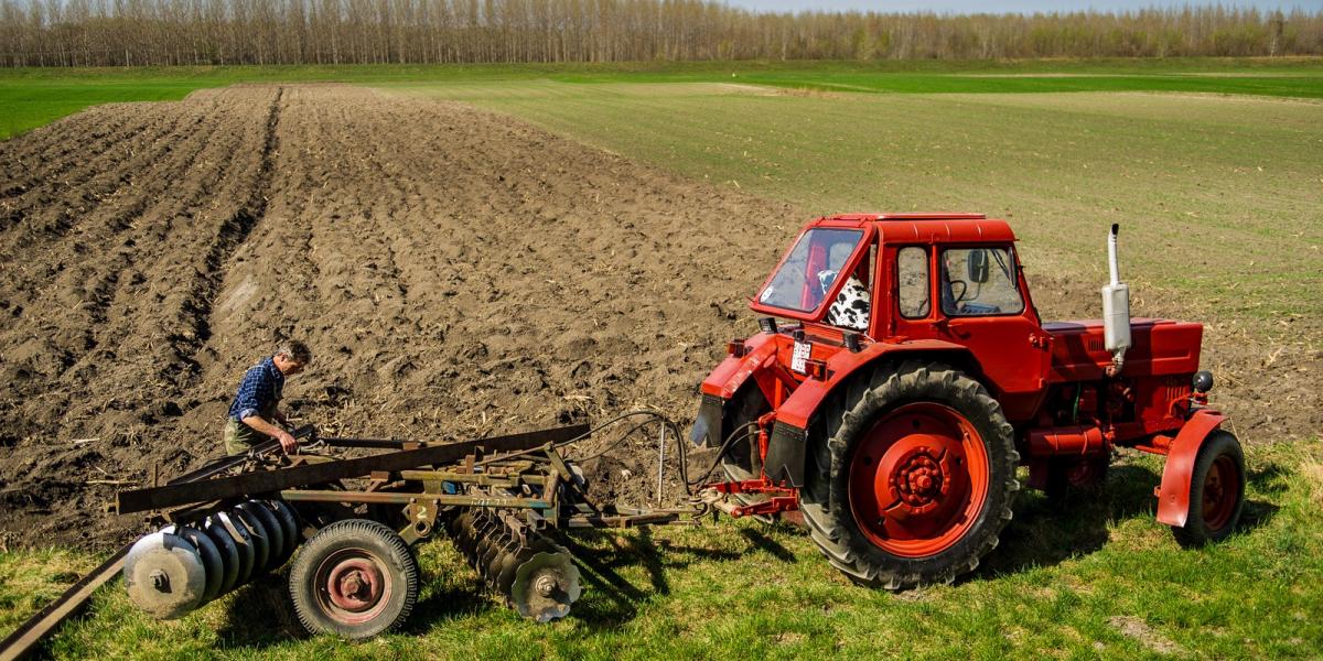 VESZÉLYBEN Ha az agrártámogatások csökkennek, akkor több gazdaság is
tönkremehet FOTÓ: Németh András Péter