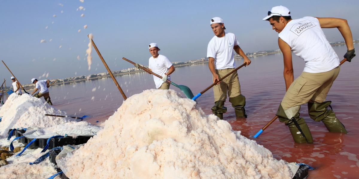 CAMARGUE - Dél-Nyugat Franciaországban található a világ legősibb sókertje FOTÓ: NICOLAS JOSÉ/HEMIS.FR/AFP