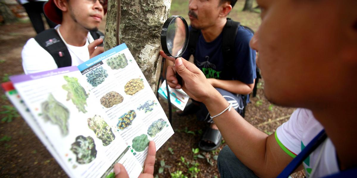 BioBlitz Bangkokban
Illusztráció: AFP