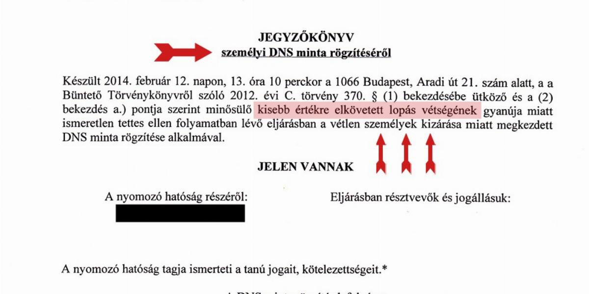 DNS-mintavételi jegyzőkönyv