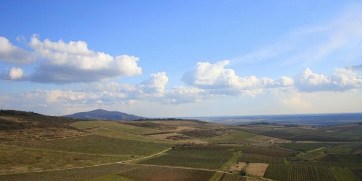 Szirmay Gábor könyve a történelem keresztmetszetében vizsgálja a világhírű borvidéket. Fotó: Facebook