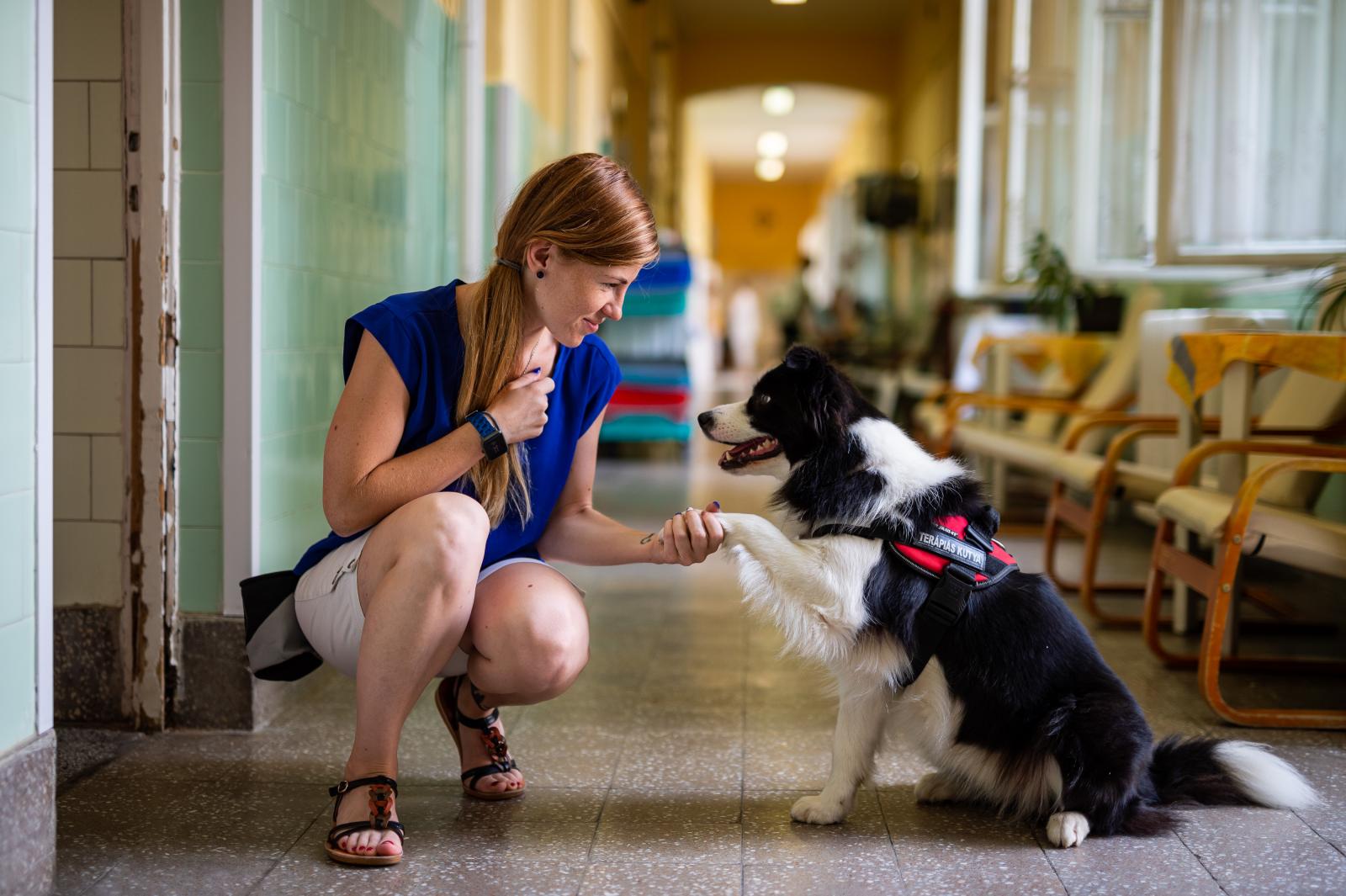 Terápiás kutya hospice kórházban