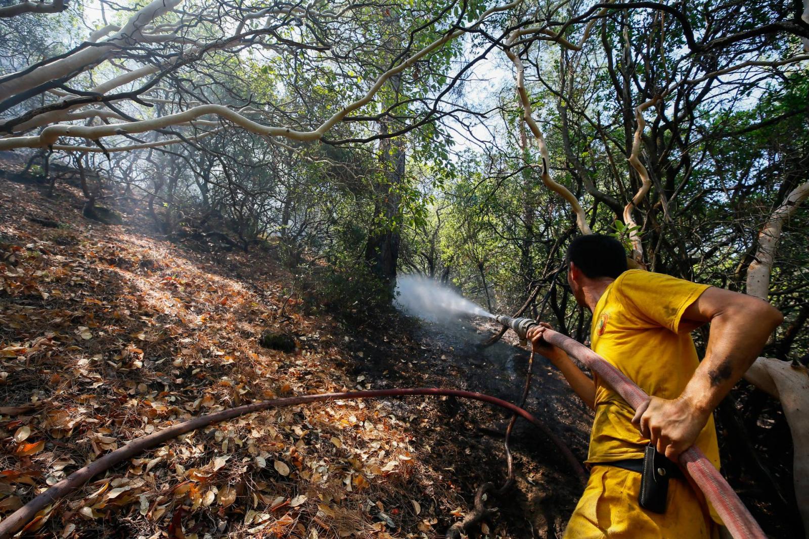 Turkey: Forest fire destroys over 1,200 acres of land