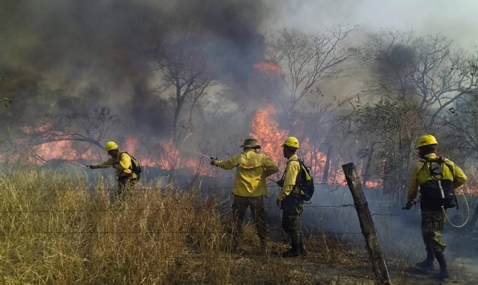 Turkey: Forest fire destroys over 1,200 acres of land