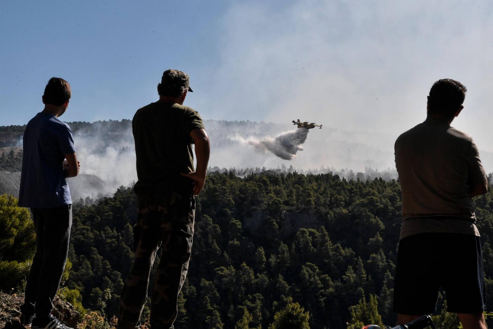 Turkey: Forest fire destroys over 1,200 acres of land