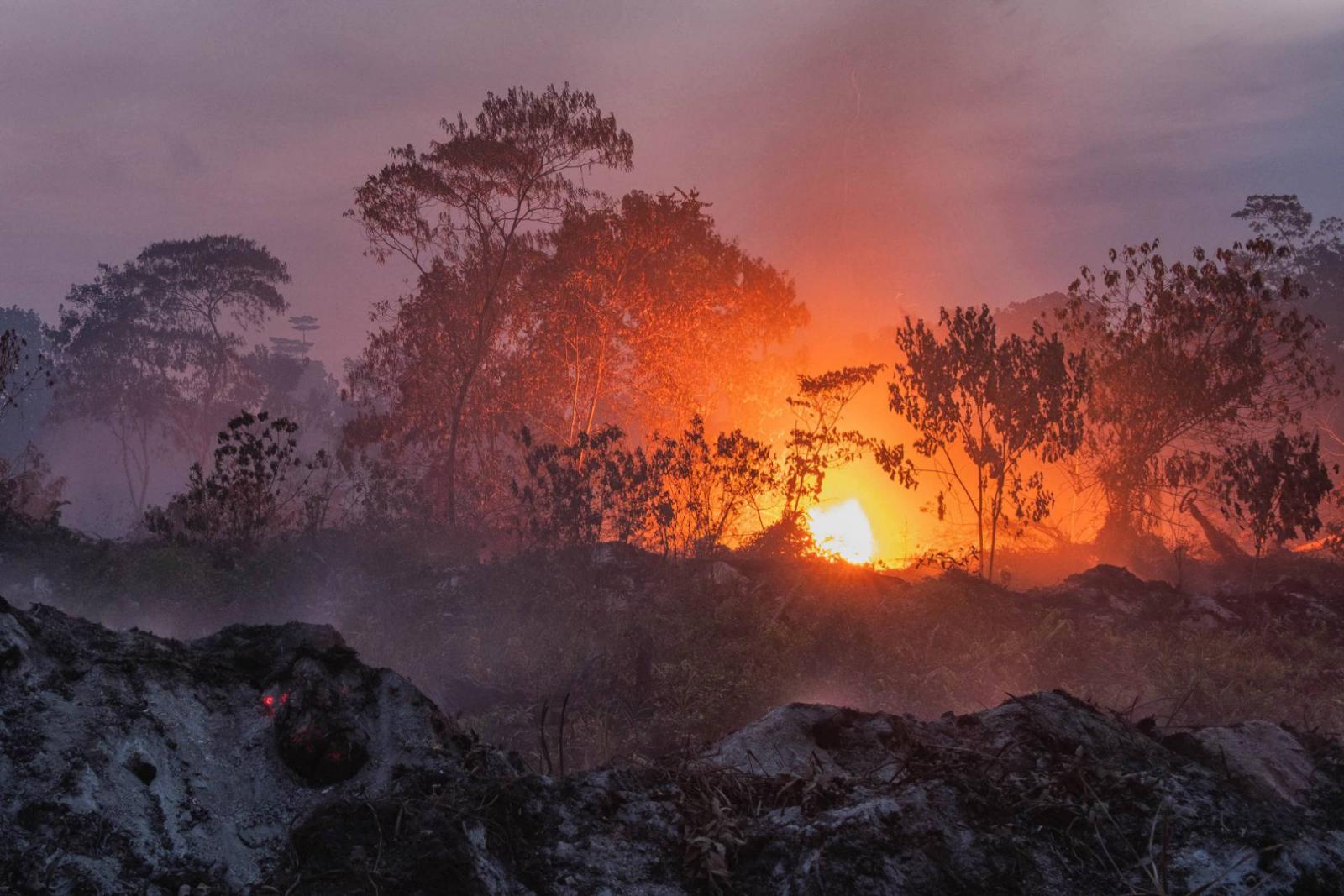 Turkey: Forest fire destroys over 1,200 acres of land